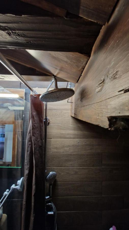 Loft La Catedral De Casa Botes Apartment *